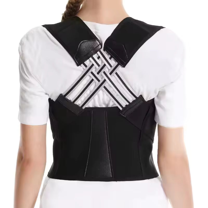 Back Support Brace